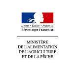 Sans titre