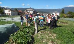 SAM_0251(1)