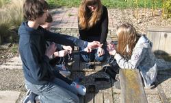 Photo 007