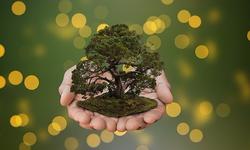 nature-2970136_640