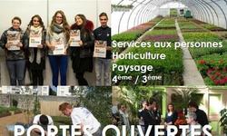 Sans titre