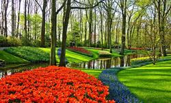 garden-3345970_640