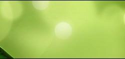 LIEN_header
