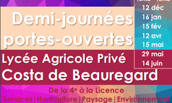 Sans titre