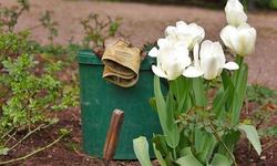 gardening-2222768_960_720