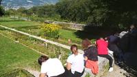 Decouverte des plantes potageres aromatiques et de