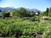 Jardin potager du Lemenc