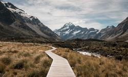 pexels-tyler-lastovich-808465