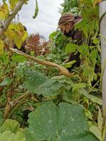 IMG_20201015_142058