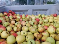 IMG_20201215_093048