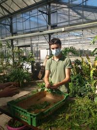 Atelier verveine Horticulture