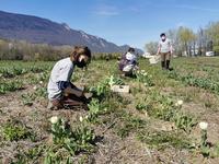 IMG_20210329_143329