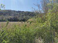 IMG_20210408_132549