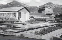 Serres
