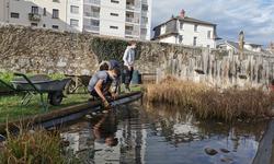 Construction d'un bassin