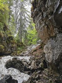 IMG_20210608_143302