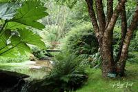 Jardin de Prévert, Saint-Germain-des-Vaux (Manch