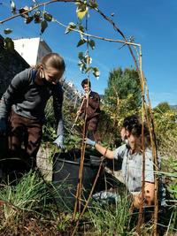 nettoyage du carre potager des CAPA 1 MAH (1)