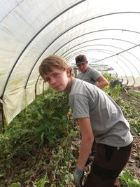 Potager de Sonnaz monsieur Judicq et plantation de