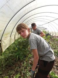 Potager de Sonnaz monsieur Judicq et plantation de