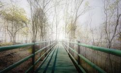 57521731-long-sentier-ou-pont-dans-le-brouillard-b