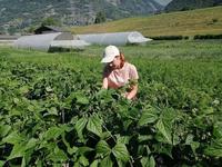 Louanne chez Terre Ferme 1