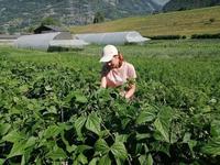 Louanne chez Terre Ferme 1