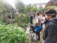 Visite d'un jardin urbain partagé