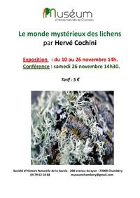 Affiche Herve COCHINI Lichens