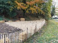 Plantation 3