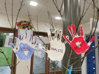 IMG_20221209_122644