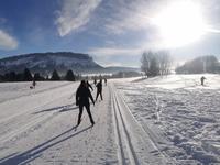 Initiation ski de fond