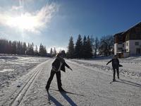 Entrainement ski de fond