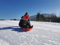 IMG_20230131_113153