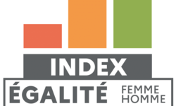 logo-index-egalite-professionnelle_0