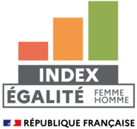 logo-index-egalite-professionnelle_0