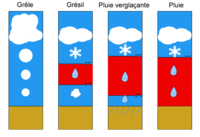 3_Type_precipitation