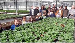 Sensibilisés les écoliers à la vie des plantes