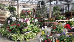 La Fondation du Bocage fête les fleurs ce lundi