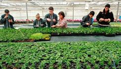 Faire du lycée professionnel un choix d’avenir pour les jeunes et les entreprises