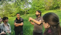 Les mauvaises herbes, pas si mauvaises que ça ?