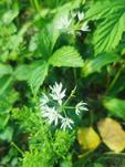 IMG_20230504_185323