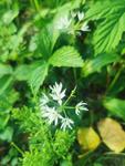 IMG_20230504_185323