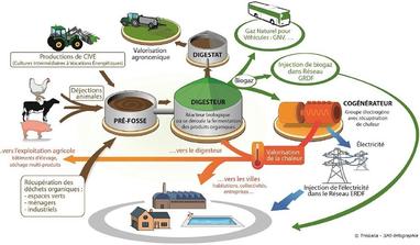 schema-methanisation-agricole