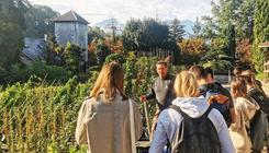 Rencontre métier : chef de culture en pépinière