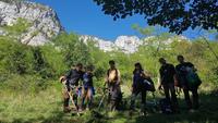 corcage de robinier faux accacia avec le Parc des