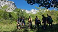 corcage de robinier faux accacia avec le Parc des