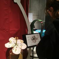 IMG_20240111_160553