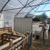 IMG_20240124_203646_110