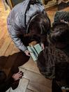 IMG-20240202-WA0011